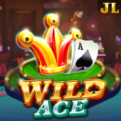 Wild Ace Online Gambling